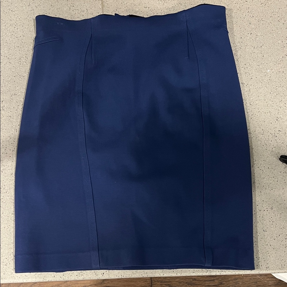 Ann Taylor Elegant Blue Knee Length  Skirt